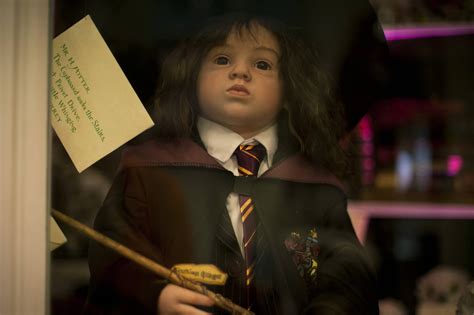 Pogrebin Harry Potter