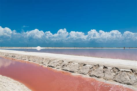 The Pink Lagoon Mexico