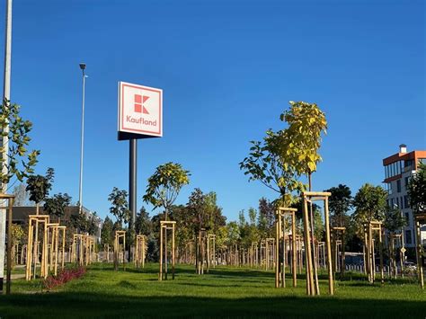 Kaufland изгради парк с над 300 нови дървета в кв. „Горубляне“ - Бизнес ...