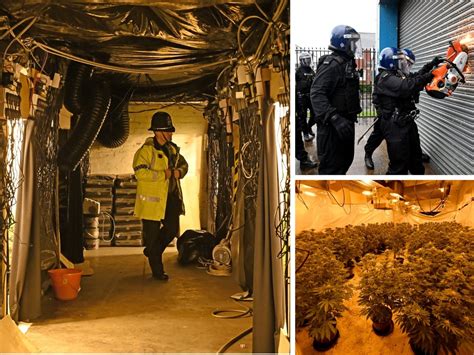 Man 33 Charged After Major Bilston Drugs Raid Involving 2000 Cannabis Plants Worth Up To £1