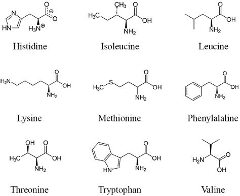 Figure 1 From Reproductive Enhancement Through Phytochemical