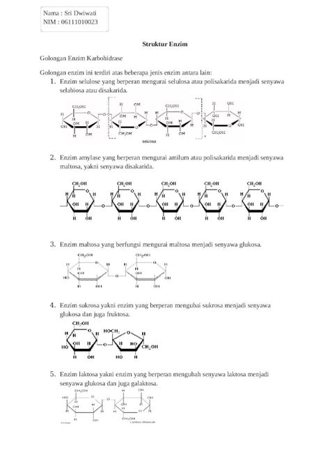 (DOCX) Struktur enzim - DOKUMEN.TIPS