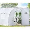 Amazon Papababe 20x10x7 5 FT Extra High Large Walk In Greenhouse