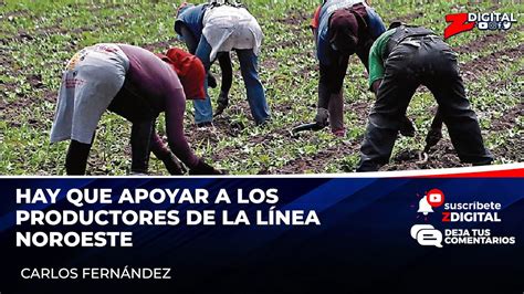 Pide Apoyar A Productores De La L Nea Noroeste Porque Son Importantes