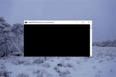 UsoClient.exe UsoClient.exe: What Is It & How to Disable It
