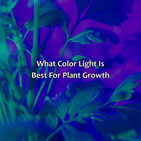 What Color Light Is Best For Photosynthesis At Charli Harris Blog