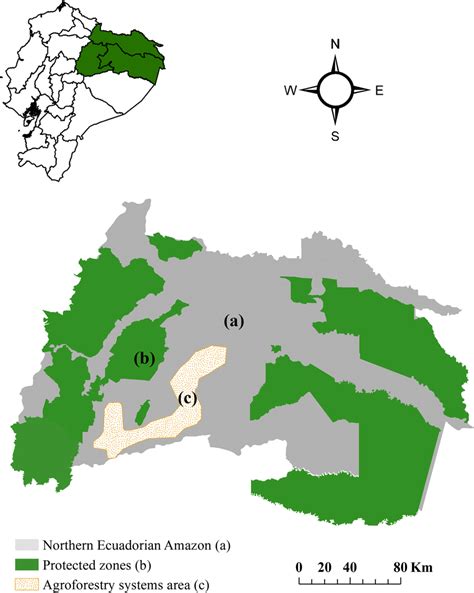 Map Representing The Northern Ecuadorian Amazon Nea Upper Left Map