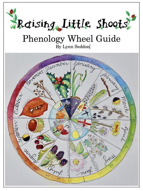 Phenology Wheel Guide