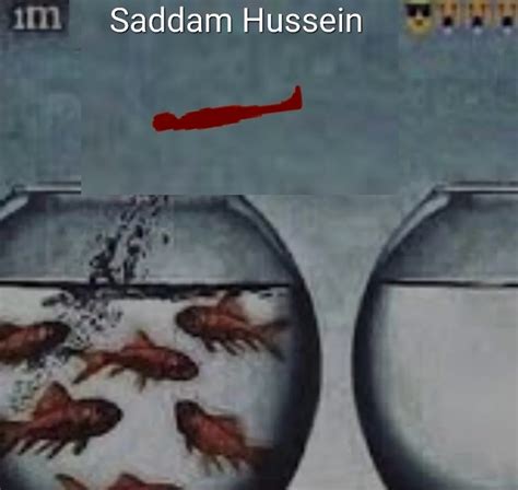 Im Saddam Hussein Im Nothing Like Yall Know Your Meme