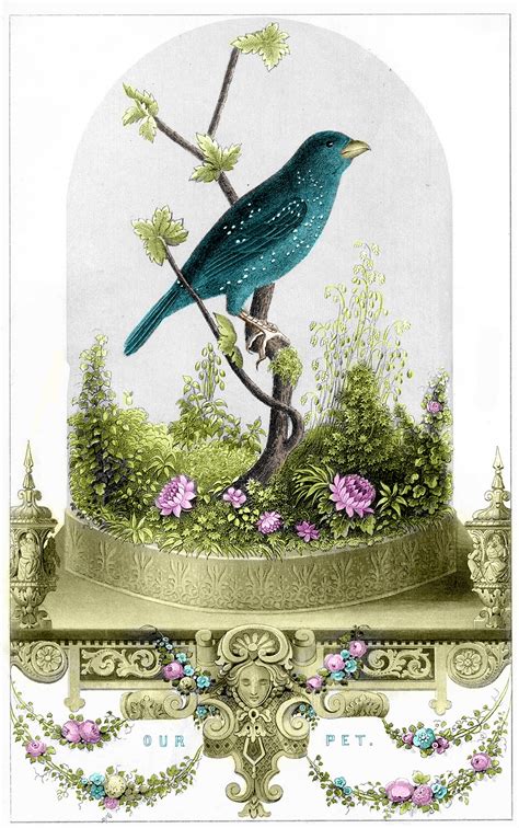 Vintage Printable Breathtakingly Beautiful Bird In Cloche The