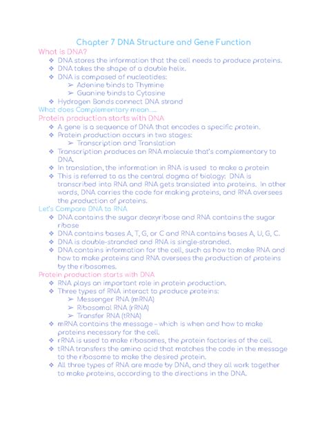 Chapter 7 DNA Structure And Gene Function Lecture Note Chapter 7 DNA