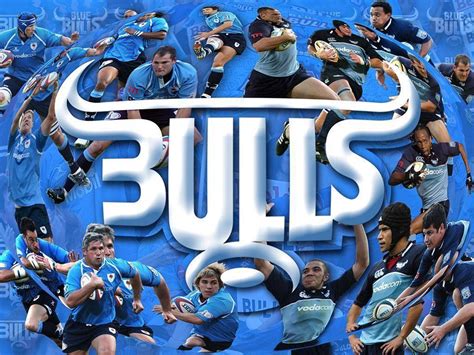 Blue Bulls Wallpapers - Wallpaper Cave