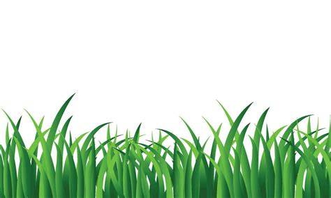 Vector Grass Border Vector Illustration 26588357 Vector Art At Vecteezy