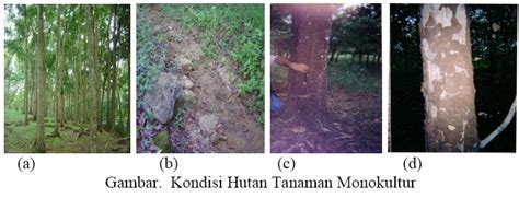 Ekologi Hutan Ekosistem Hutan Tanaman