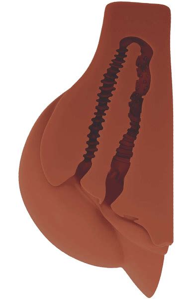 Osta Pipedream Perfect Ass XL Mastrubator Brown 6 5kg Ilmainen Nopea
