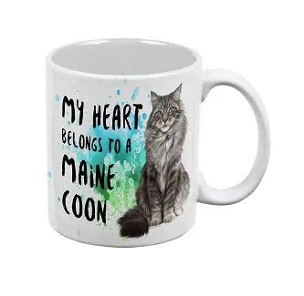 12 Magnificent Maine Coon Cat Gifts » Pet Educate