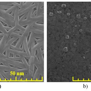 Sem Images Of The Obtained Samples A Cupc Nanowires B Cupc