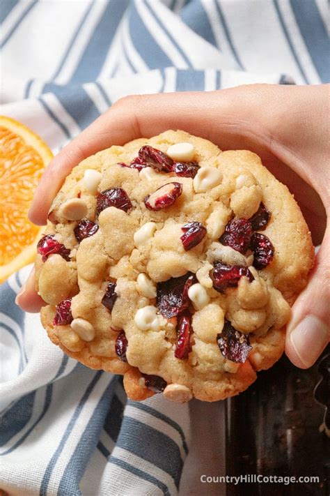 Dried Cranberry Cookies