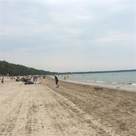 Sandbanks Provincial Park Picton All You Need To Know Before You Go