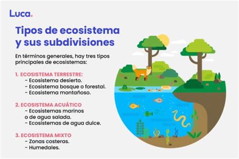 Ecosistema C Mo Funciona Nuestro Entorno