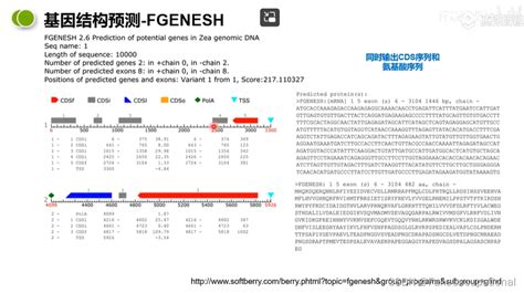 生物化学 单个基因生物信息学分析笔记 单个基因的生物信息学分析 Csdn博客