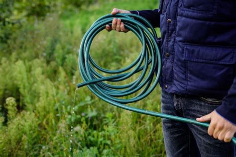 How To Store A Garden Hose With Easy Steps