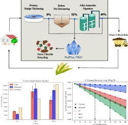 Improving Nutrients Ratio In Class A Biosolids Through Vivianite