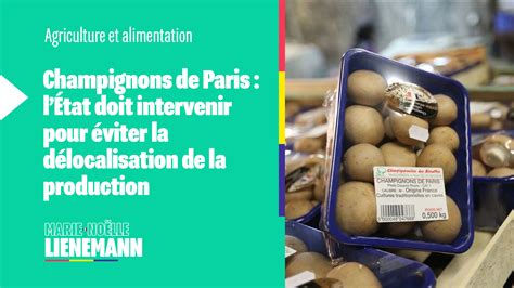 Menace de disparition de la culture des champignons de Paris en Île de