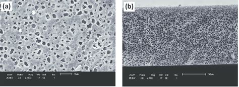 Sem Images Of Pure Pa Cacl Membrane A Top Surface And B