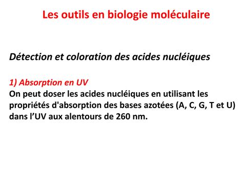 SOLUTION Cours 3 Outils En Biologie Mol Culaire Studypool