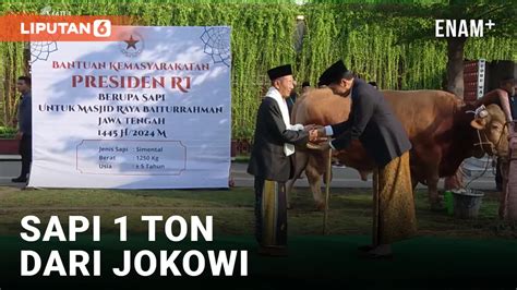 Masjid Istiqlal Terima 50 Ekor Sapi Kurban Ada Dari Jokowi Prabowo