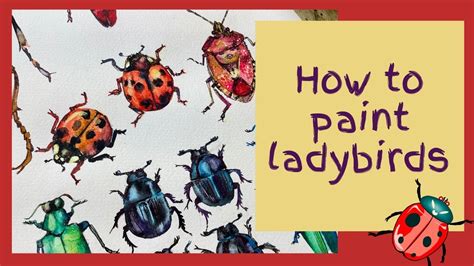 How To Paint A Watercolour Ladybird Youtube