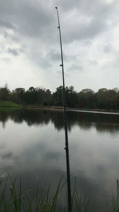 Wolf Creek Lake Palestine Tx 20 Youtube