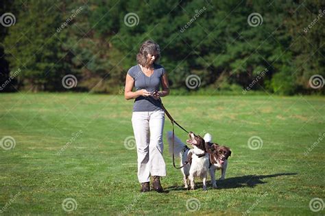 Woman Walking With Dogs On Leash Stock Image Image Of Healthy Autumn