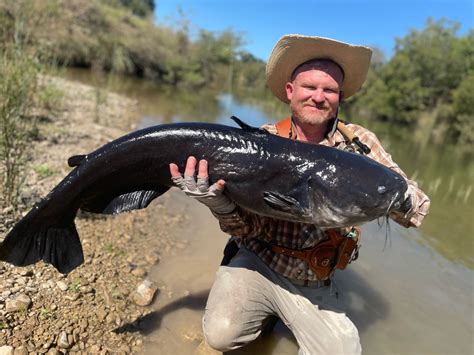 Potential World-Record Catfish Landed on Fly Rod | MidCurrent