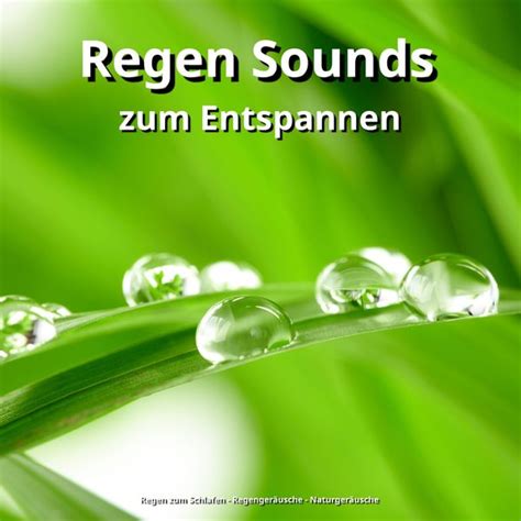 Regen Sounds Zum Entspannen Regen Zum Schlafen Qobuz