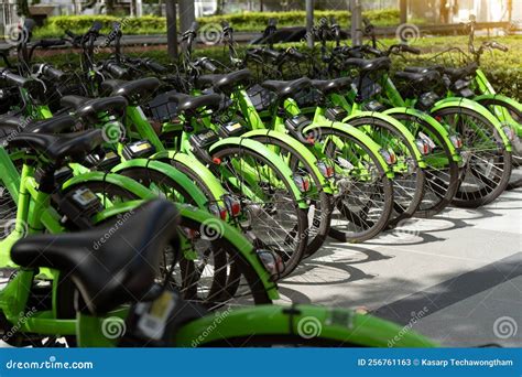 Muitas Bicicletas No Estacionamento Alugadas E Compartilhadas