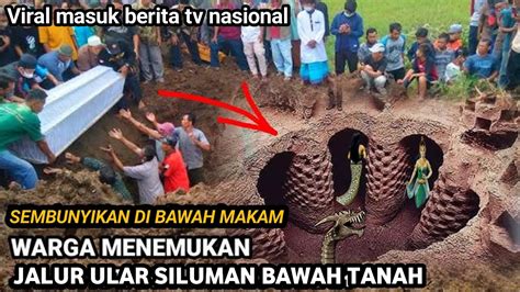 Geger Nyata Warga Temukan Jalur Istana Ular Puluhan Meter Di Bawah