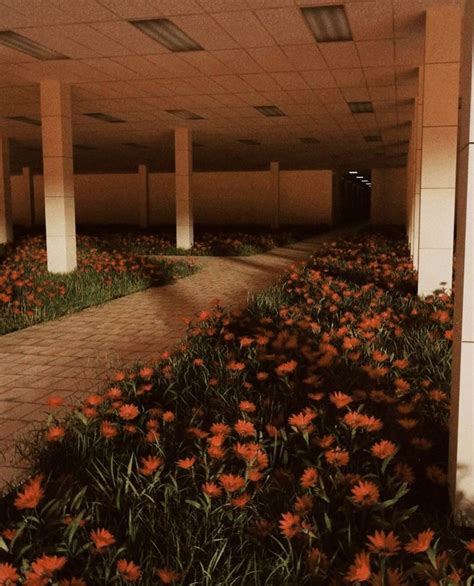 An Empty Building With Lots Of Flowers Growing In It