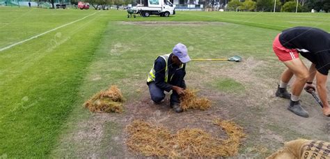 Pre-Season Cricket Maintenance & Top-Dress of Wickets