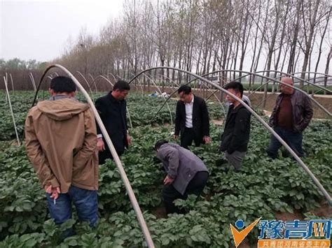 褚堂鄉召開產業扶貧基地馬鈴薯種植培訓會圖文 每日頭條