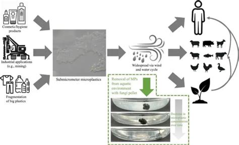 Texas A M Researchers Provide Novel Approach For Removing Microplastics