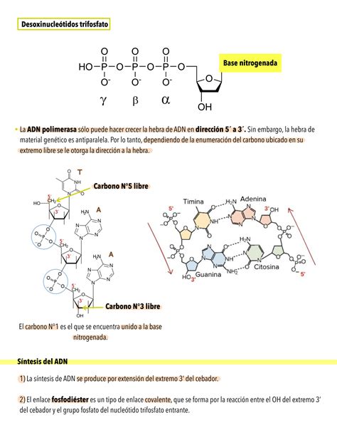 SOLUTION Clase 5 Gen Tica Studypool