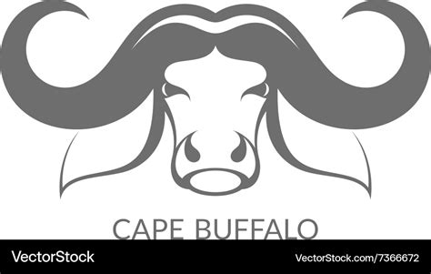 Cape buffalo Royalty Free Vector Image - VectorStock