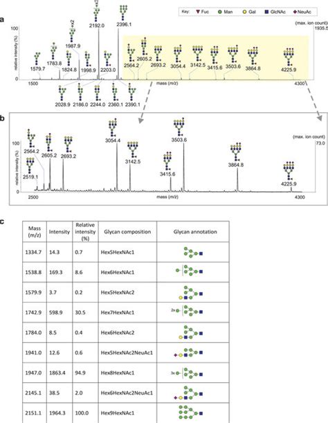 N Glycome Of Hiv Bal Gp Maldi Tof Mass Spectrum Of N Glycans