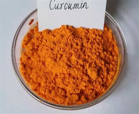 Curcuma Longa Extract Curcumin 95 Powder For Nutraceutical At Rs 5200