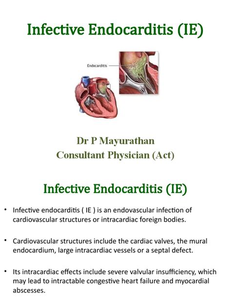 Infective Endocarditis Ie Pdf Heart Echocardiography