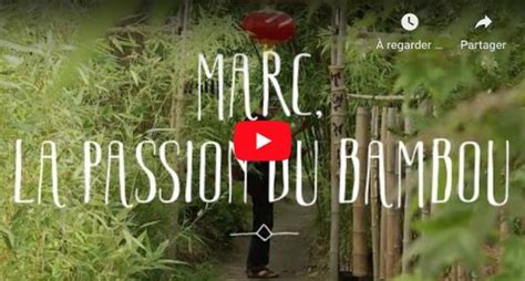 Bambou Jardiner Malin Plantes Et Jardin Potager Et Recettes