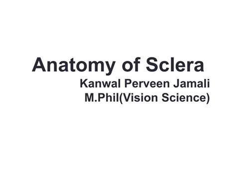 Anatomy of sclera | PPT