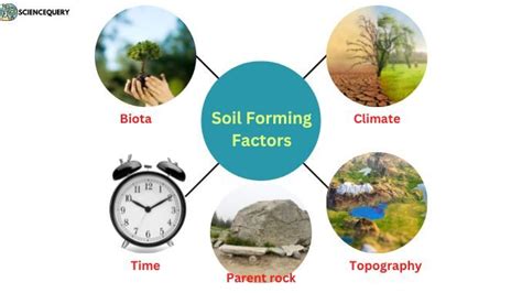 Soil forming factors and definition - Science Query